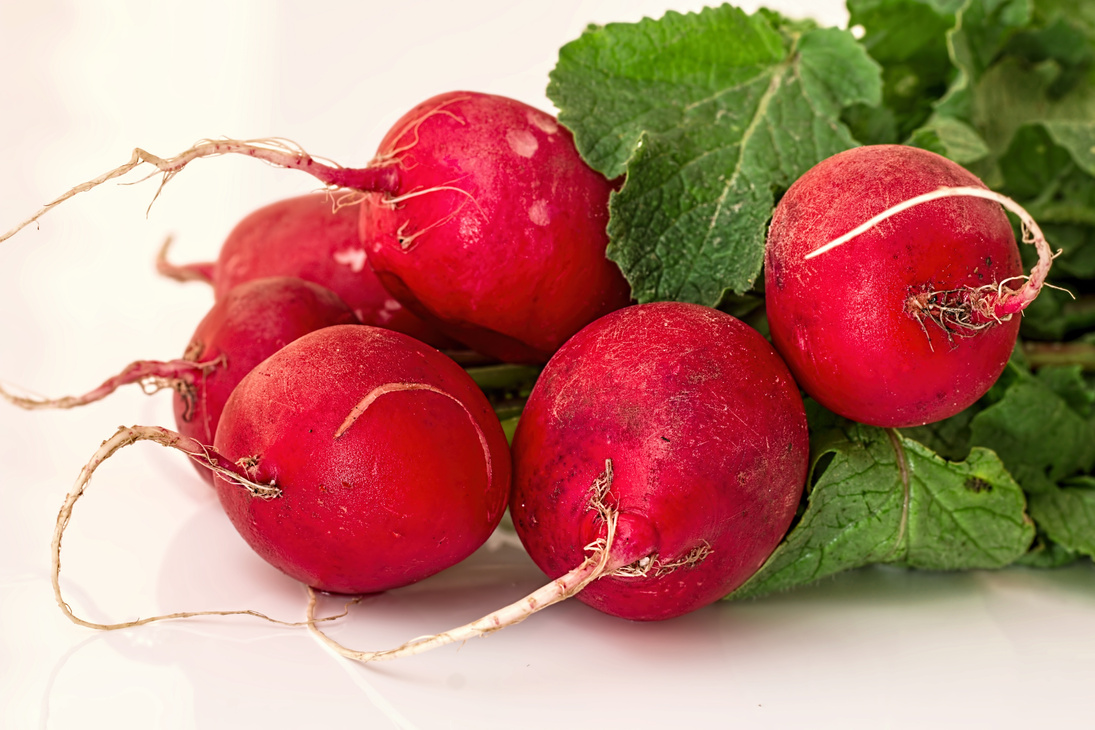 Fresh Radish with Leaves