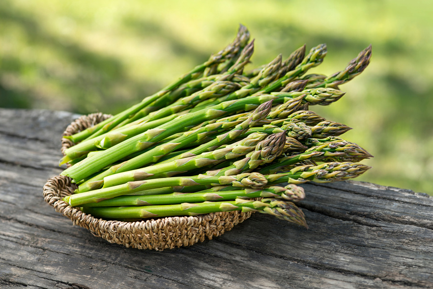Asparagus. Fresh Asparagus.