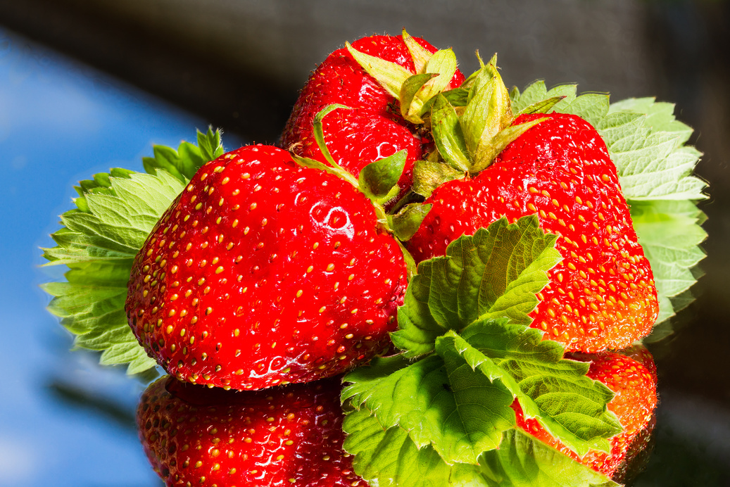 Fresh Stawberry