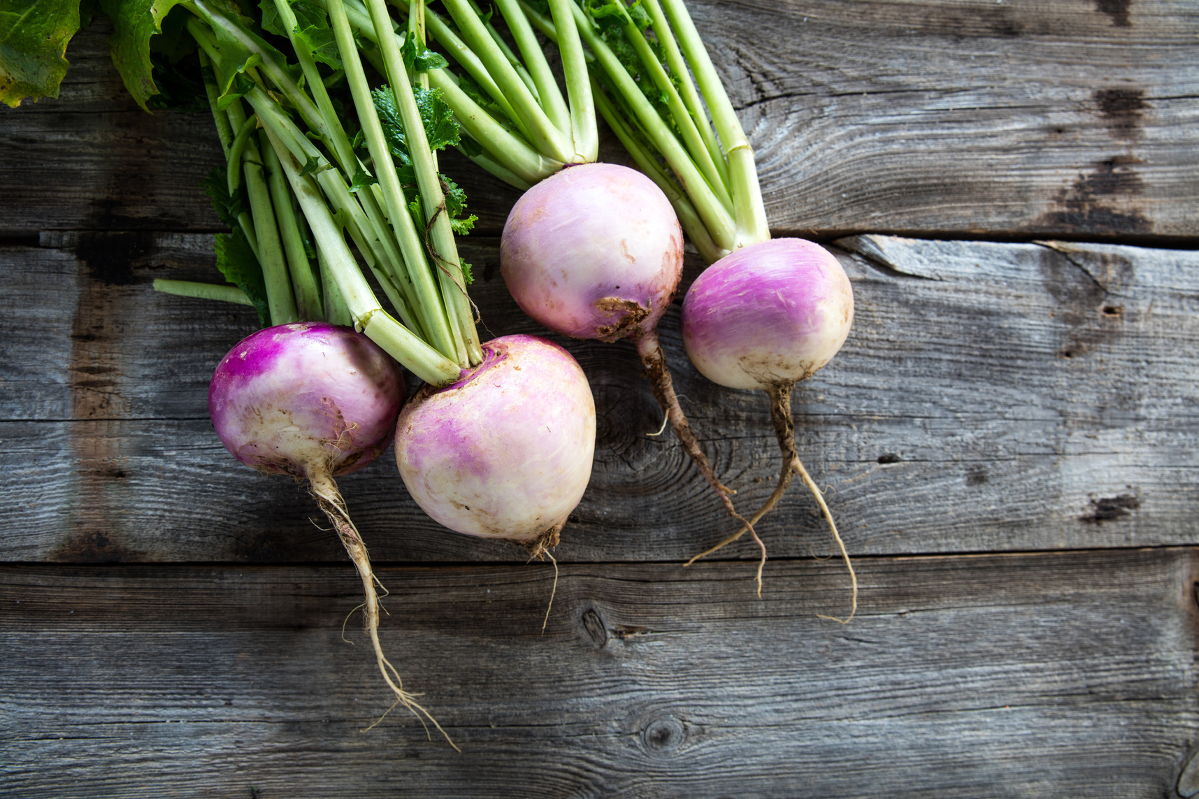 rustic organic turnips on genuine wood background for vegetarian food